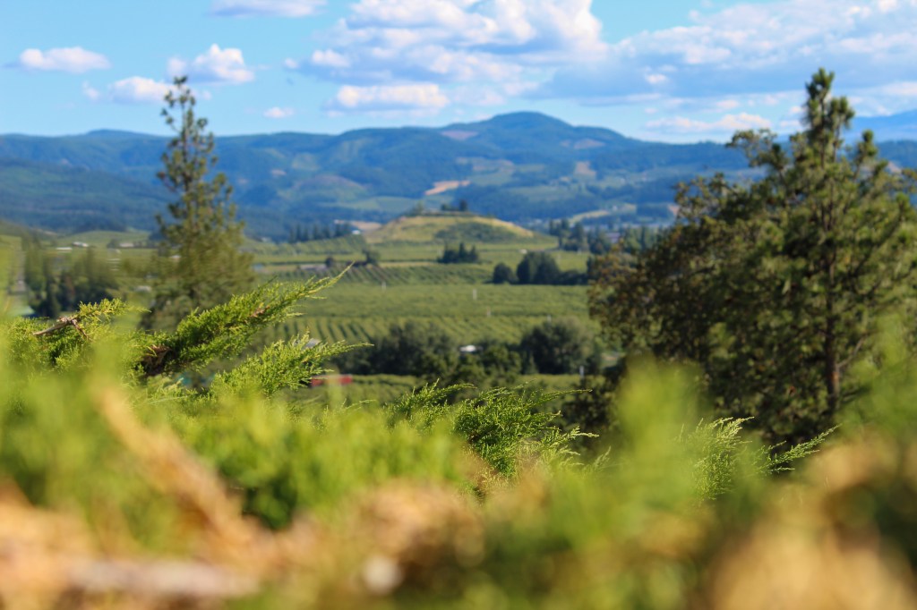 Hood River Oregon orchards and valley view with Cascade foothills